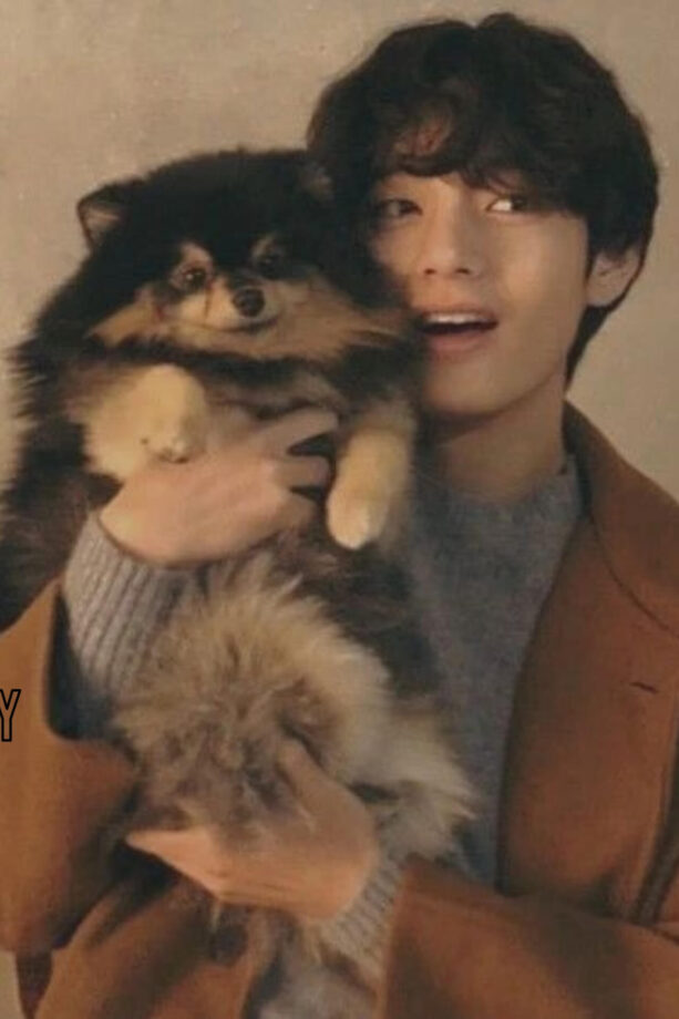 BTS V Aka Taehyung And Yeontan's Cutest Moments Together 787665