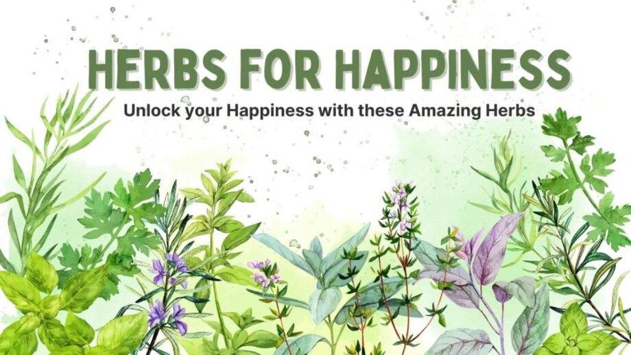 Herbs For Happiness: 5 Incredible Herbs to Boost Happy Hormones 675313