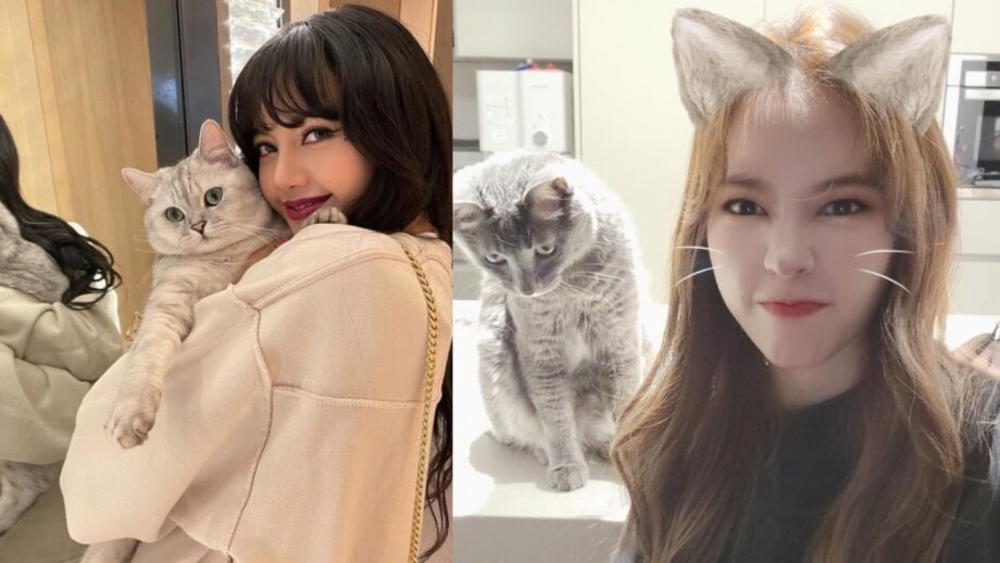 Monsta X Joohoney To Girls Generation Sunny: Five K-pop Idols Who Have Cats  | IWMBuzz