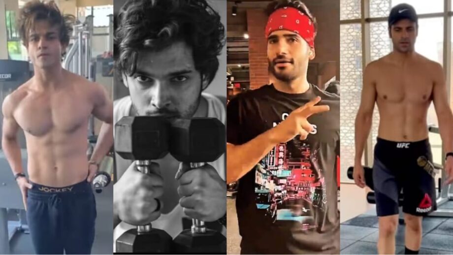 Television top stars Krishna Kaul, Parth Samthaan, Karan Tacker, and Vivek Dahiya flaunt their hardcore workout routine 673492