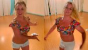 Britney Spears Swaying In A Printed Crop-top On Social Media, Take A Look 695683