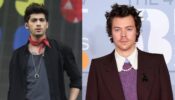 Listen To Harry Styles, And Zayn Malik's Songs To Have A Chilled Out Day 699744
