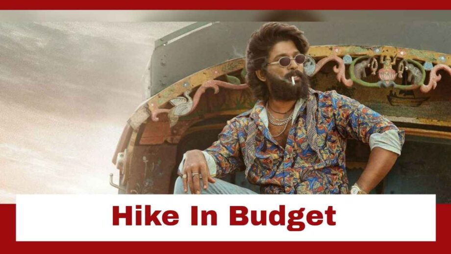 Allu Arjun's Pushpa 2 Sees A Hike In Budget; Check Here 726129