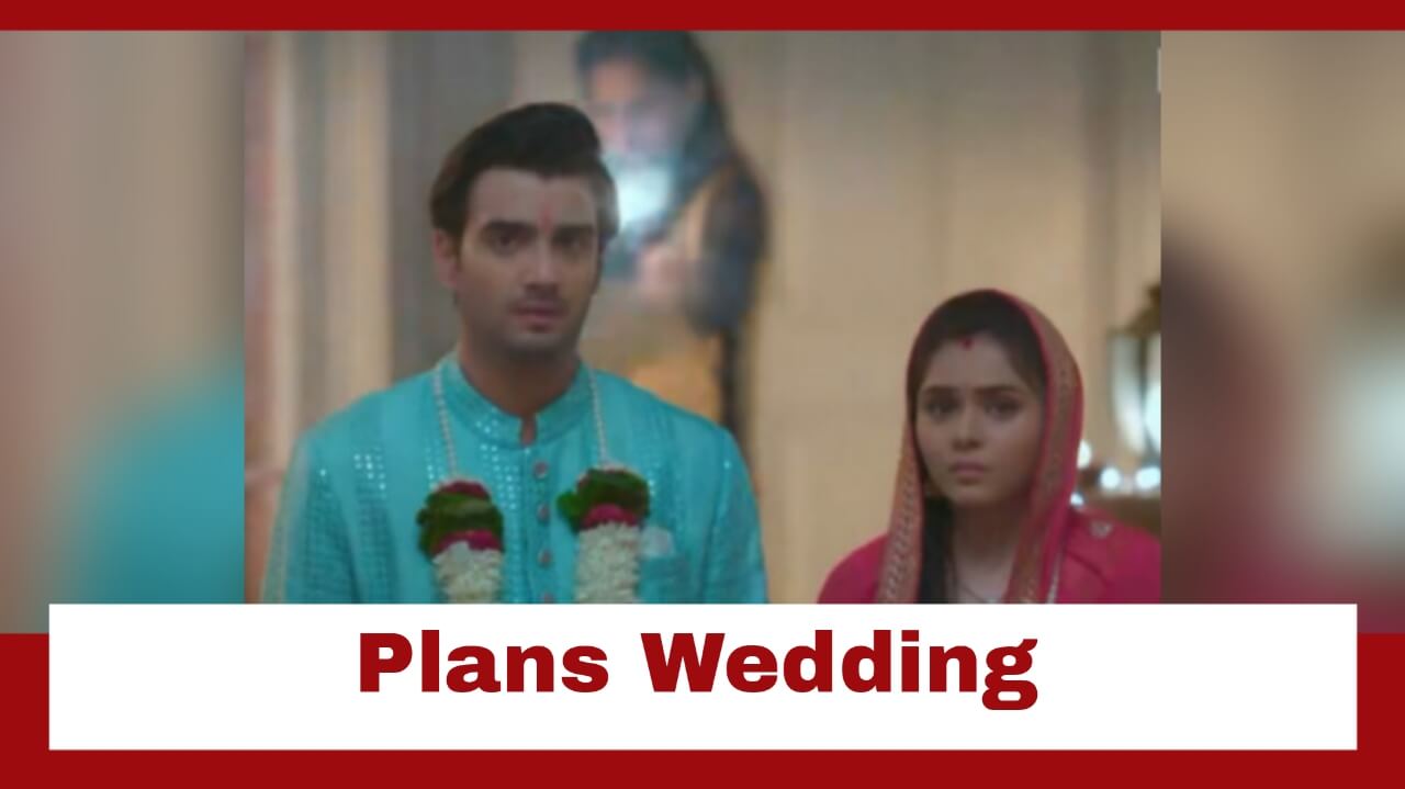 Anupamaa: Anuj plans a lavish wedding for Pakhi and Adhik | IWMBuzz