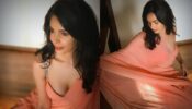 Mallika Sherawat Is A Saree Girl Looking Glamorous In Orange Saree 727124