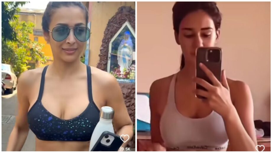 Video: Disha Patani And Malaika Arora Look Hot In Gym Looks 724265