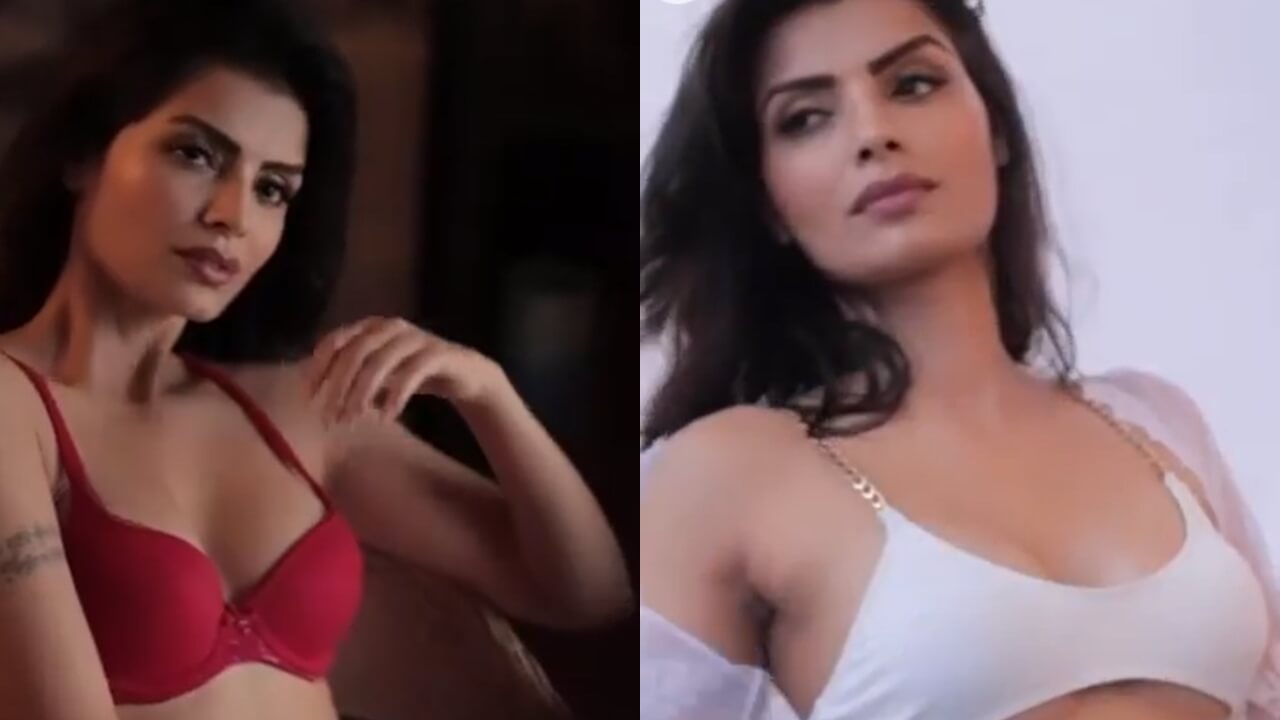 Sexy Video: Sonali Raut flaunts sensuality like a queen in pink bra and lingerie, verify ASAP |  MSN News