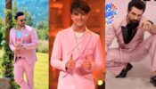Aly Goni, Krishna Kaul, Rithvik Dhanjani, And Others Look Dapper In Pink Shade Tuxedos 753712