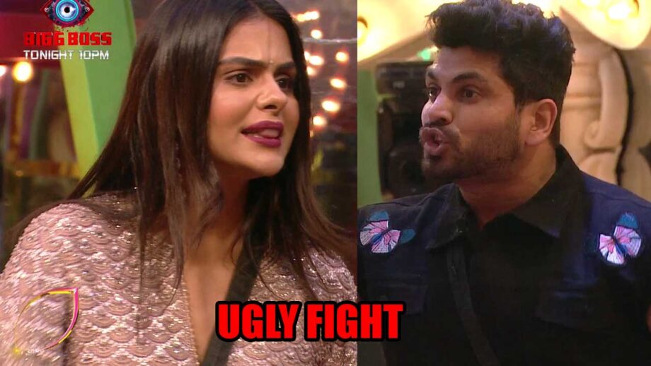 Bigg Boss 16: Priyanka Chahar Choudhary and Shiv Thakare get into an ugly fight during ticket to finale task 761858