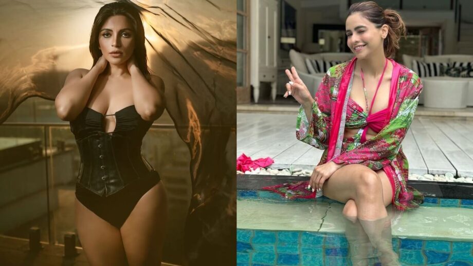 Fashion Battle: Shama Sikander vs Aamna Sharif; Who Looks Jaw-Dropping In Monokini Outfit?