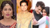 Hina Khan, Karan Mehra To Shivangi Joshi: Yeh Rishta Kya Kehlata Hai Stars Who Left The Popular Drama Show 753291