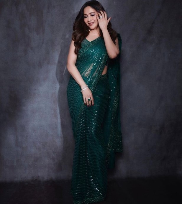 Is Madhuri Dixit's Dheer Saree By Faraz Manan A Good Choice For A Wedding Guest Style, Yay Or Nay? 757666