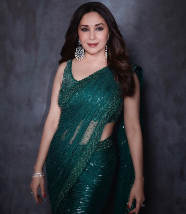 Is Madhuri Dixit's Dheer Saree By Faraz Manan A Good Choice For A Wedding Guest Style, Yay Or Nay? 757667