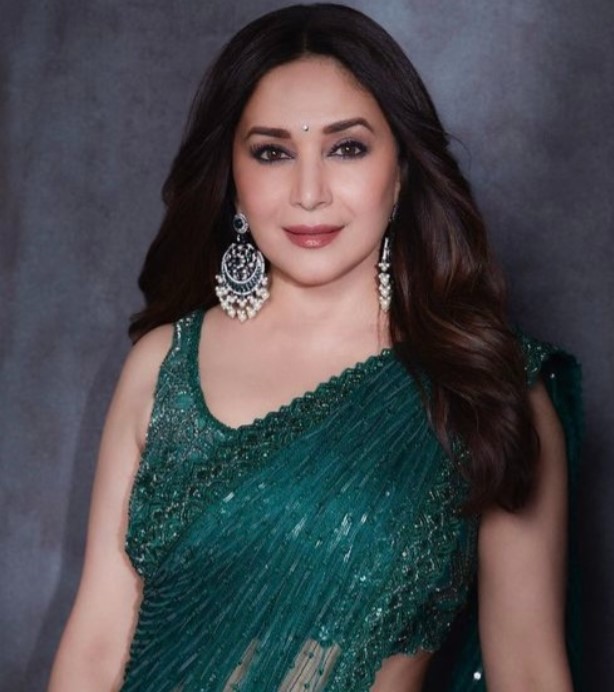 Is Madhuri Dixit's Dheer Saree By Faraz Manan A Good Choice For A Wedding Guest Style, Yay Or Nay? 757668