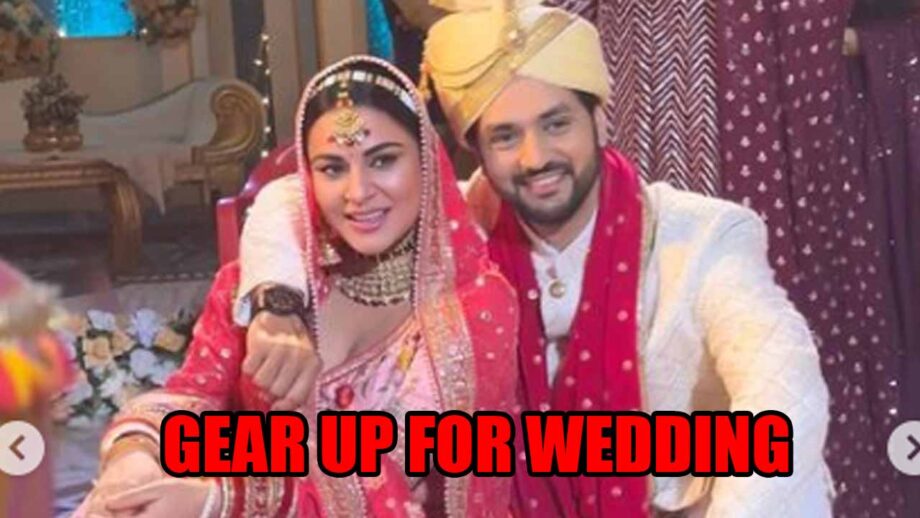 Kundali Bhagya: Arjun and Preeta gear up for their wedding 764747