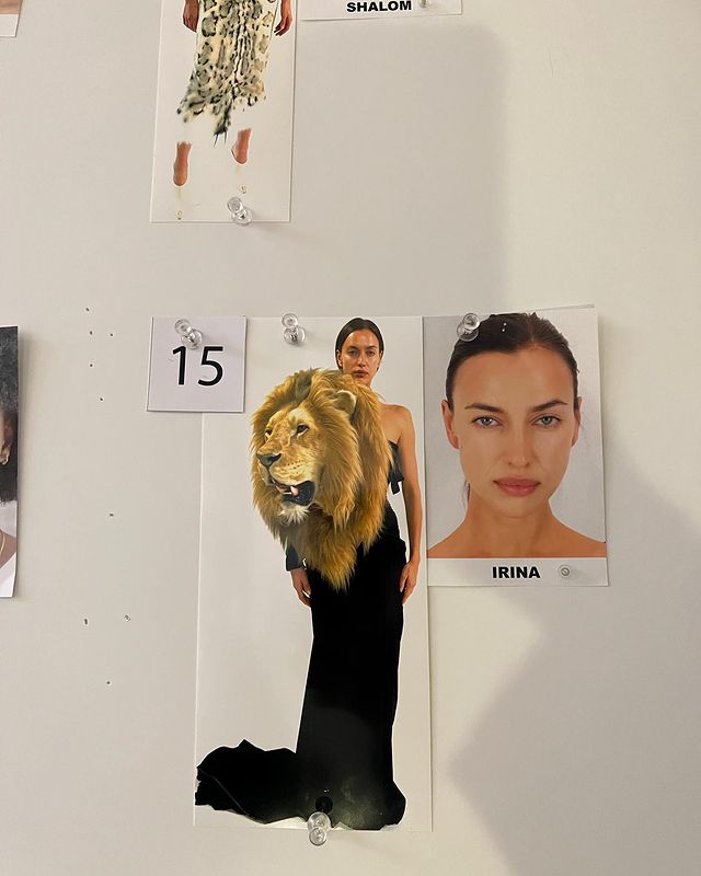 Kylie Jenner VS Irina Shayk: Who Donned The Lion's Head Faux Dress Better? 762380