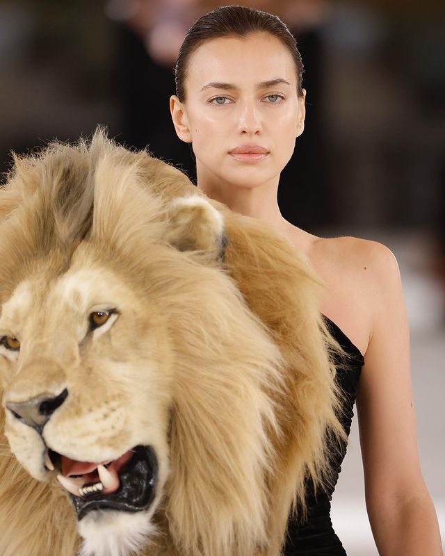 Kylie Jenner VS Irina Shayk: Who Donned The Lion's Head Faux Dress Better? 762385