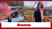 Manasi Naik Grooves To 'Akele Hai', Calls It 'Chaiwala Timpeass' 756638