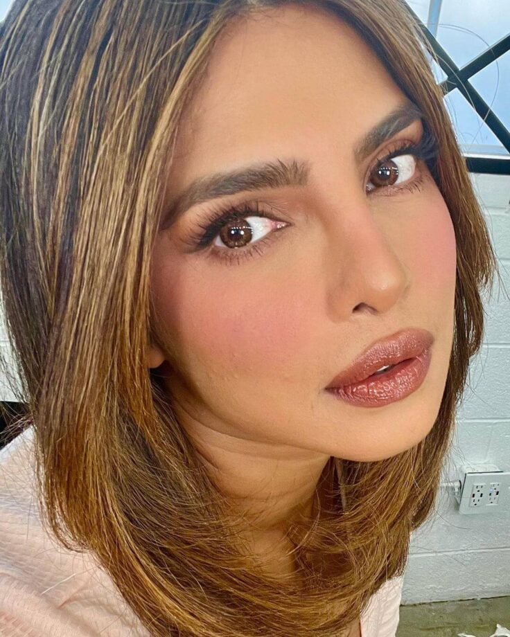 Priyanka Chopra Shares 'No Filter' Ultra-Glamorous Selfie Pictures; Fans Call Her 'Gorgeous' 761829