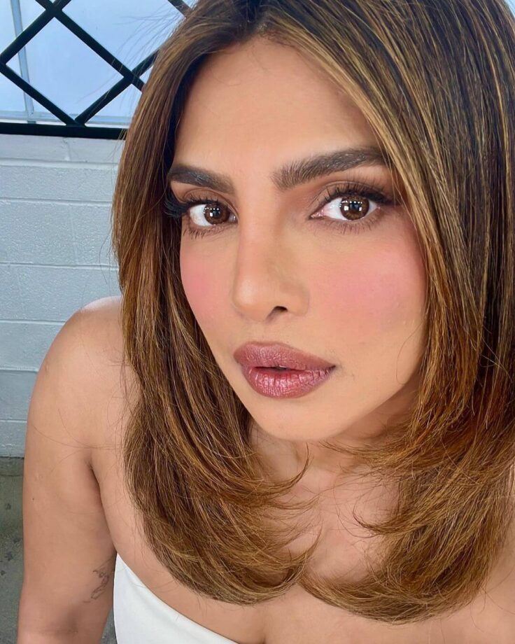 Priyanka Chopra Shares 'No Filter' Ultra-Glamorous Selfie Pictures; Fans Call Her 'Gorgeous' 761831
