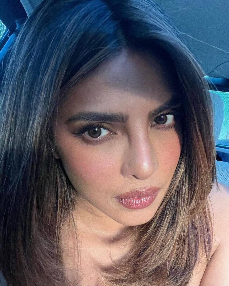 Priyanka Chopra Shares 'No Filter' Ultra-Glamorous Selfie Pictures; Fans Call Her 'Gorgeous' 761832