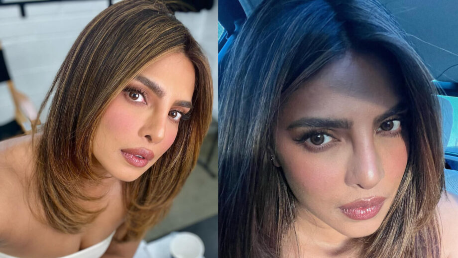Priyanka Chopra Shares 'No Filter' Ultra-Glamorous Selfie Pictures; Fans Call Her 'Gorgeous' 761833