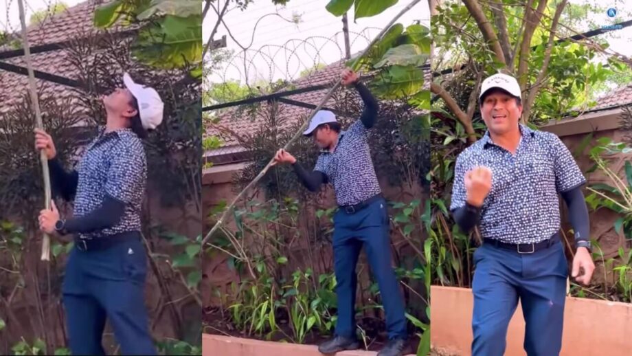 Sachin Tendulkar Enjoying Picking Fresh Fruit from Trees with a Wooden Stick: Watch Video 761697
