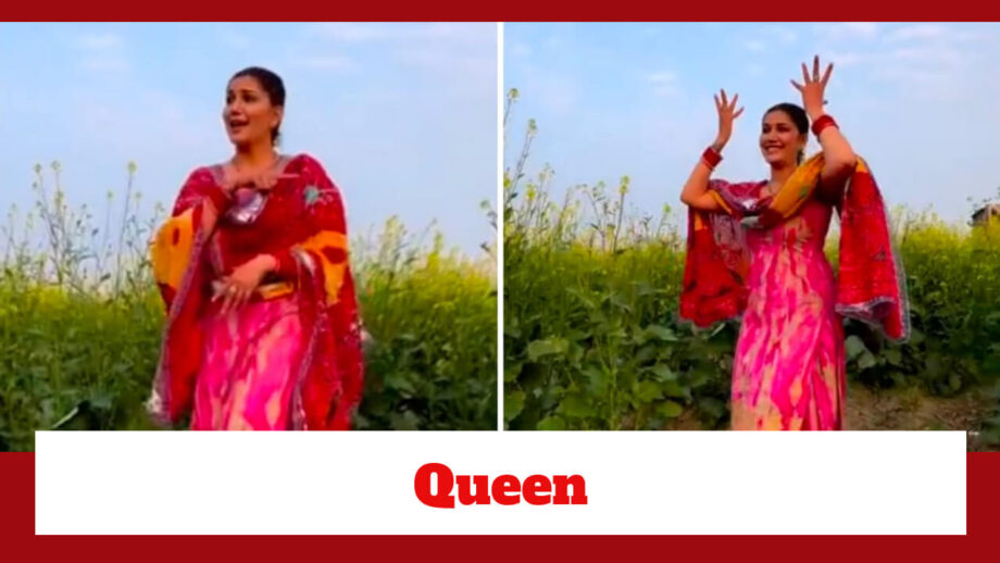 Sapna Choudhary Is The Perfect 'Queen' In This Reel; Check Here 761396