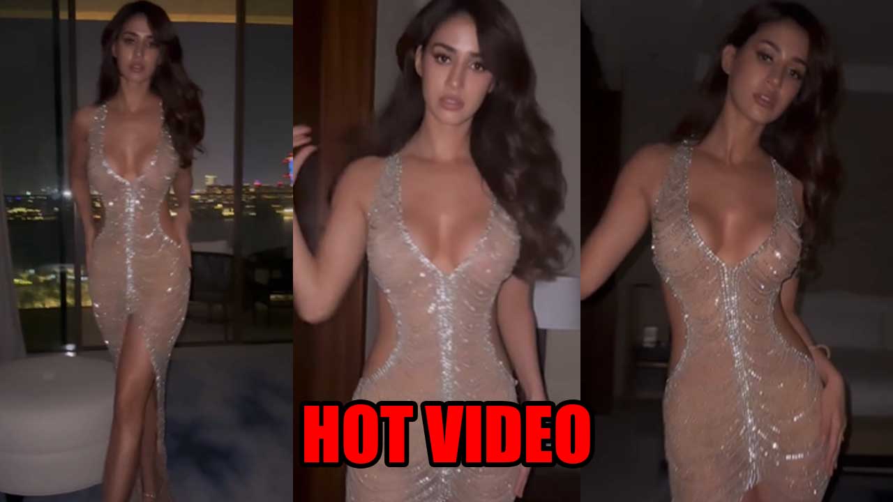 Sexy Video: Disha Patani Flaunts Hot Curves In See-Through Sequin Gown, Krishna Shroff feedback ‘Too hearth!’  ,  MSN News