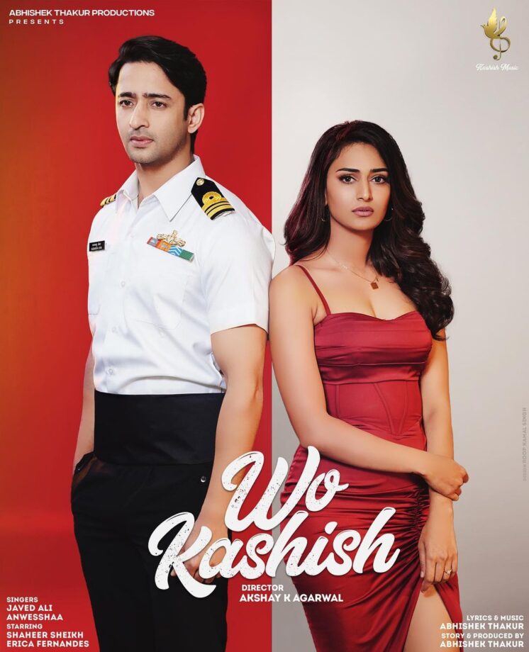 Shaheer Sheikh and Erica Fernandes are back! What’s cooking? 755336