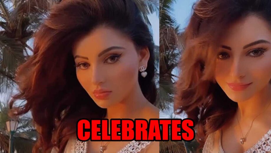 Urvashi Rautela celebrates success of her movie Waltair Veerayya in latest video, watch now 758904