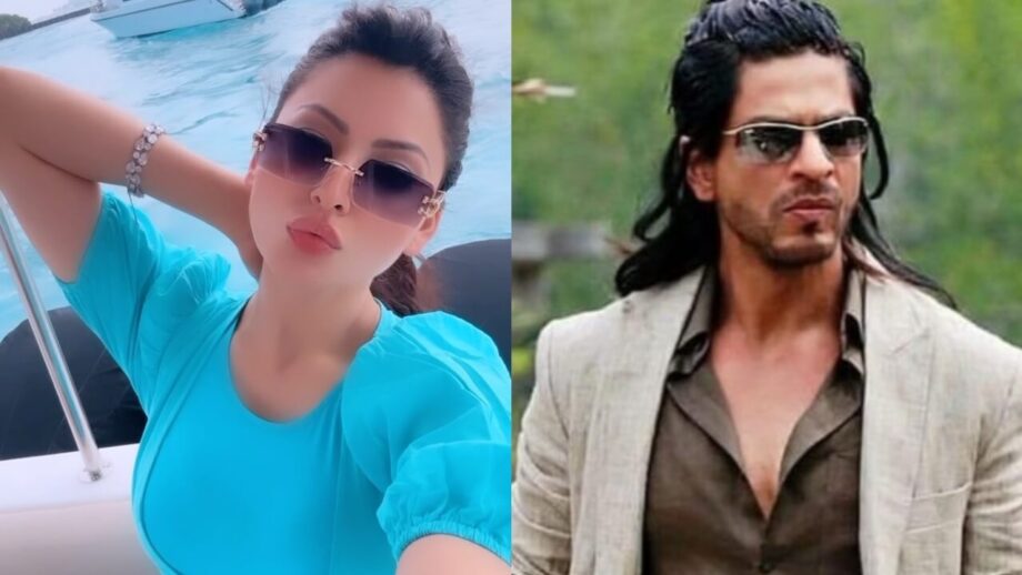 Urvashi Rautela showers love on Shah Rukh Khan, has special message for him 763859