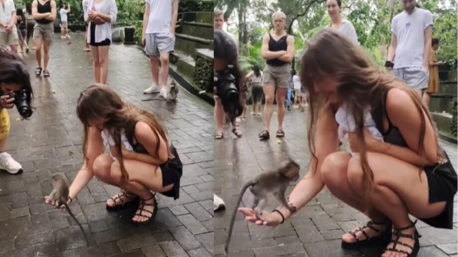 Viral Video: A Baby Monkey Playing With A Woman Will Make You Awestruck 764033