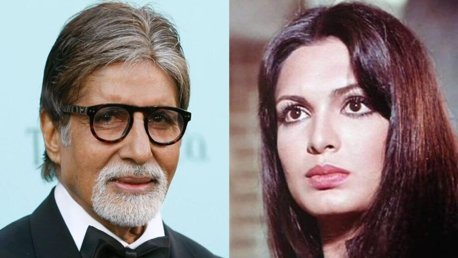When Amitabh Bachchan Spoke Exclusively On Parveen Babi's Schizophrenia &  Death | IWMBuzz