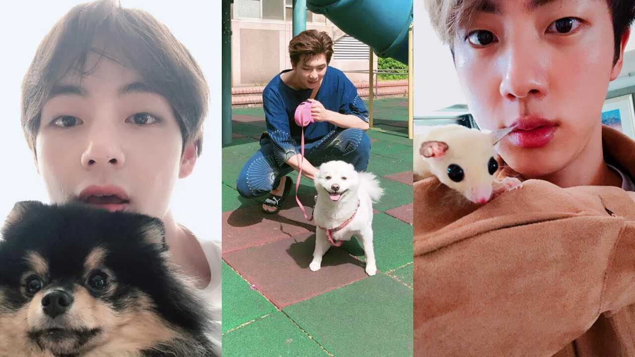 Adorable: BTS V With Pet Animals In Pictures | IWMBuzz
