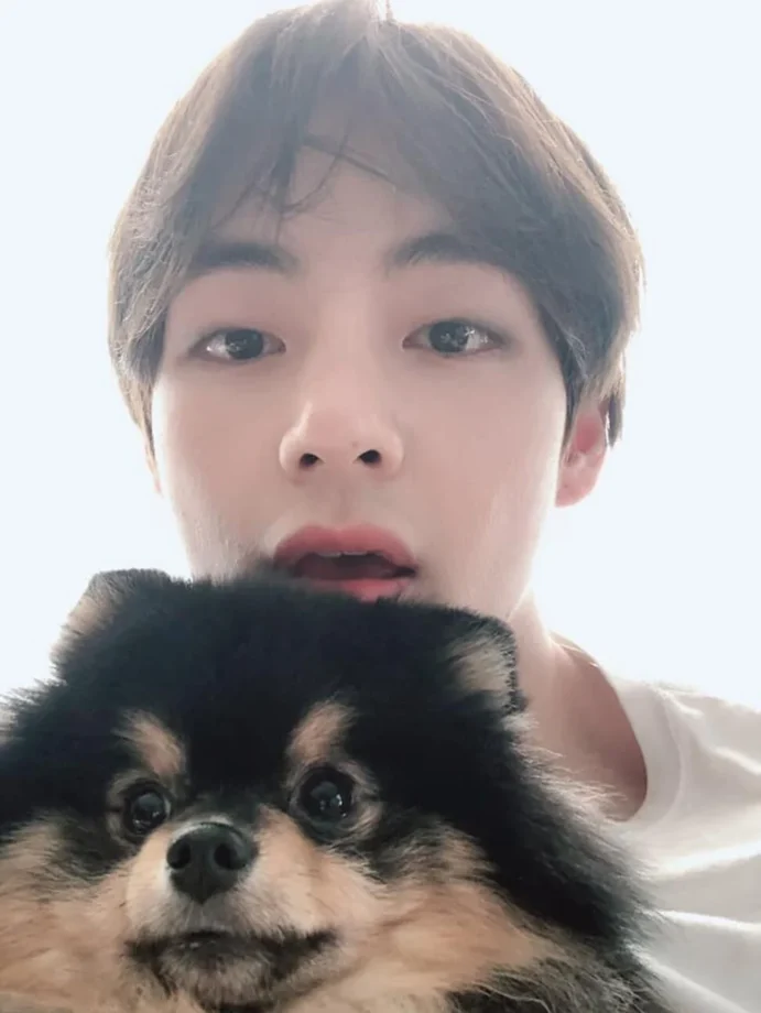Adorable: BTS V With Pet Animals In Pictures 767014