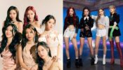 Blackpink VS Momoland: Which Band Has Fans Over The Globe? 778275