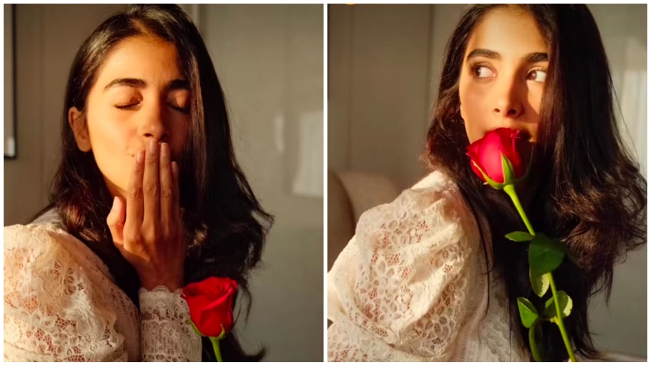 Have You Seen Pooja Hegde's Video With Red Rose On Valentine's Day? Watch! 772364