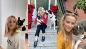 In Pics: Reese Witherspoon drops pawdorable moment with her doggo on National Love Your Pet Day 775238