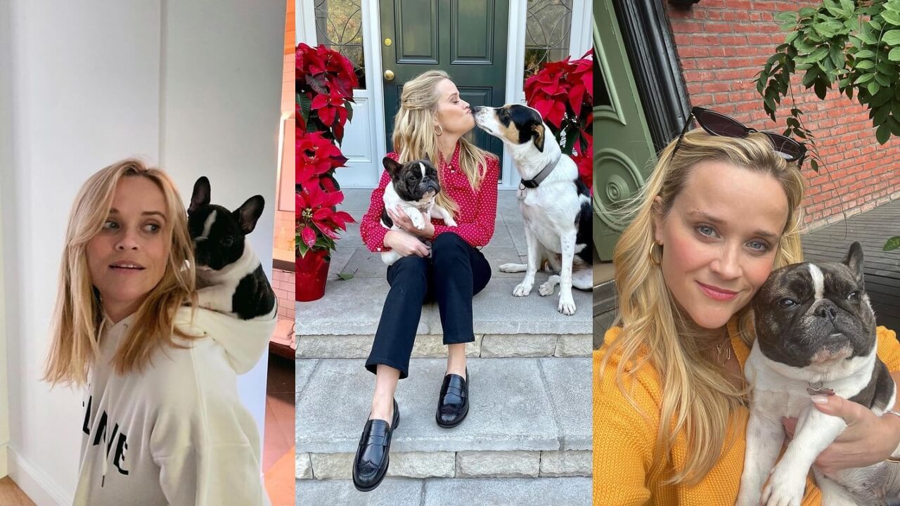 In Pics: Reese Witherspoon drops pawdorable moment with her doggo on National Love Your Pet Day 775238