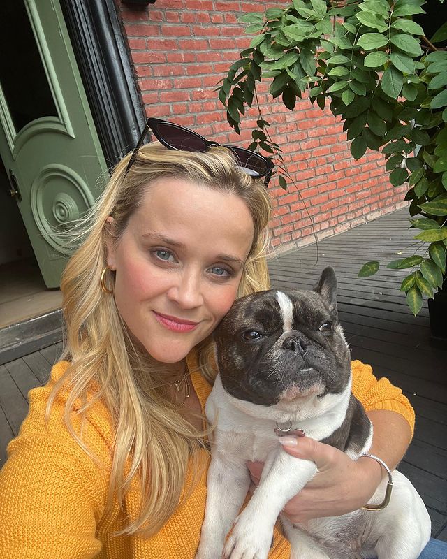 In Pics: Reese Witherspoon drops pawdorable moment with her doggo on National Love Your Pet Day 775231