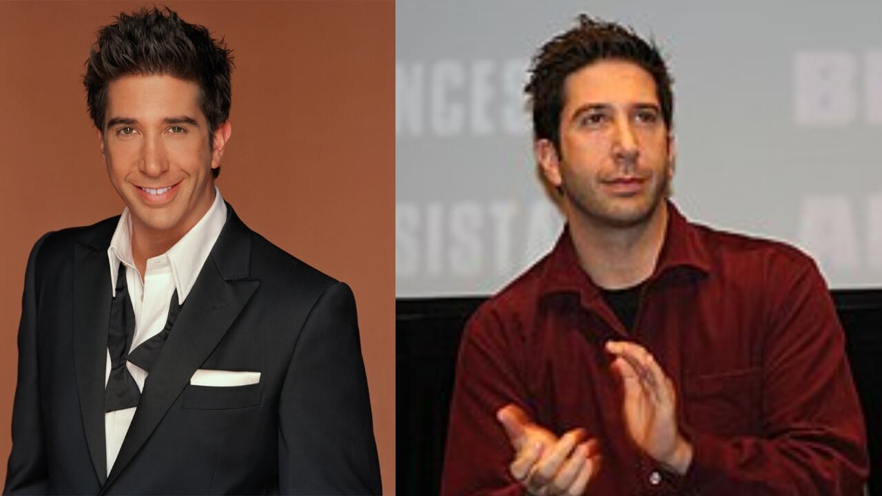 Lesser Known Facts About David Schwimmer; Read 767607