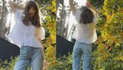 Lily Collins Nails Her Casual Chic In A White Top And Blue Jeans In California, See Pics 773731
