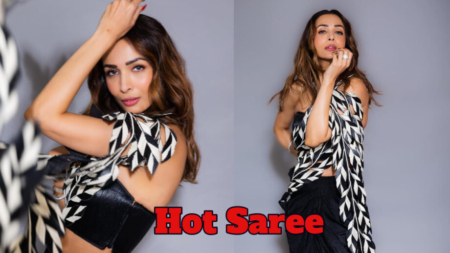 Malaika Arora Is Hot And Bold In This Tube Blouse and Feather Saree 778317