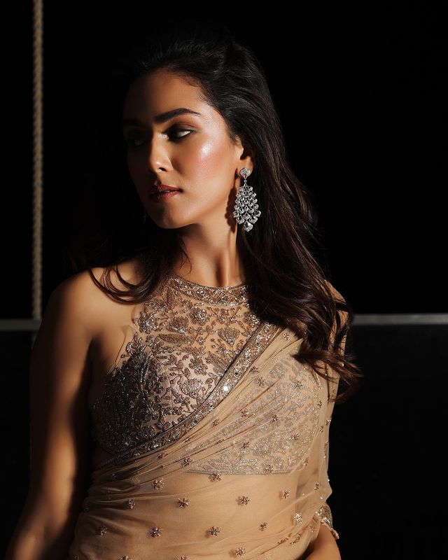 Mira Rajput Exudes Elegance In A Nude Netted Tulle Saree, Check Out Her Pics 772800