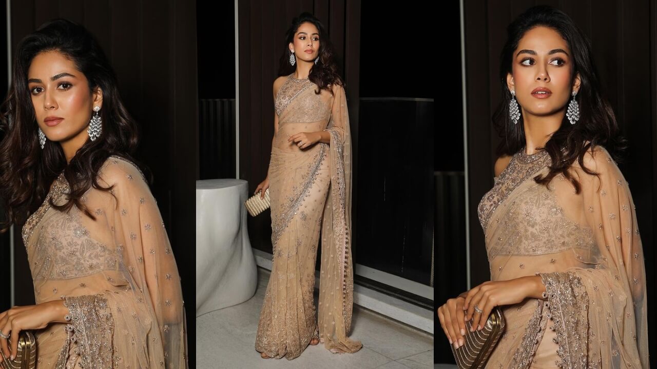 Mira Rajput Exudes Elegance In A Nude Netted Tulle Saree, Check Out Her Pics 772803