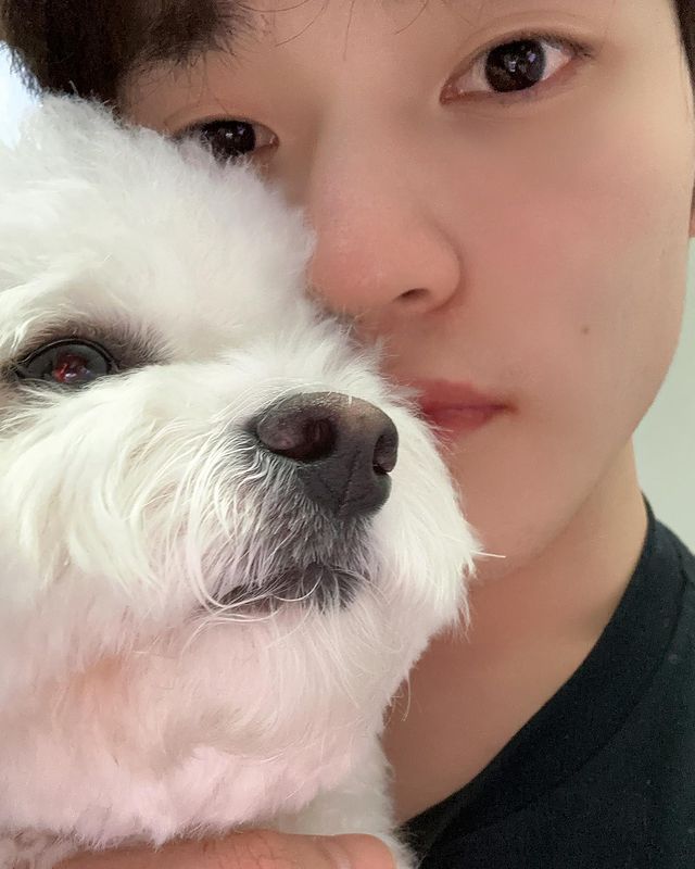 NCT Dream's Chenle Zhong's Cozy Moments With Pet Dog Daegal 766162