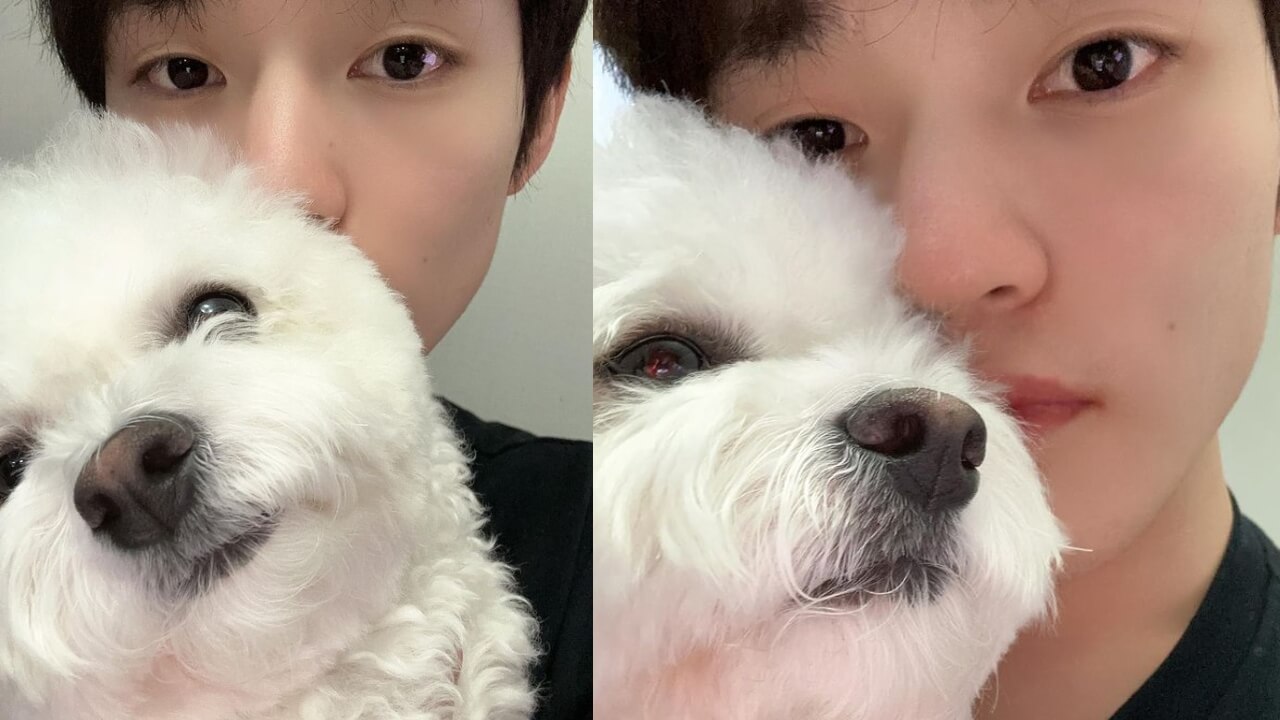 NCT Dream's Chenle Zhong's Cozy Moments With Pet Dog Daegal 766163