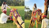Neha Sharma Enjoys Camel Ride With Her Friend In Amanbagh At Rajasthan 777777
