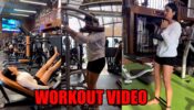 Nehha Pendse gives fitness goals with her inspiring workout video, fans go bananas 778304